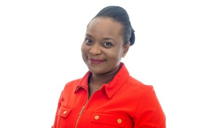 Dr Doyin Atewologun from Cranfield University wins Inspiring Board Leader award