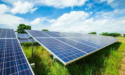 Letters to the Editor: The sheer scale of the Cranfield Road Solar Farm development